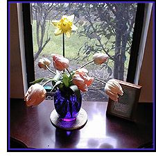 Flowers from my garden.